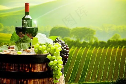 葡萄酒素材图片 葡萄酒素材图片