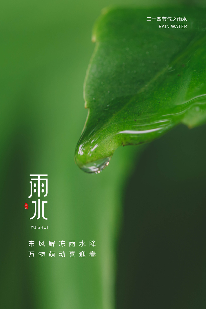 简约大气 绿色 二十四节气 雨水 节气海报