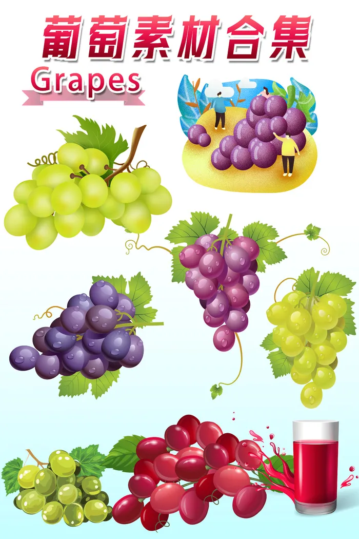 葡萄手绘插画素材合集psd模版下载
