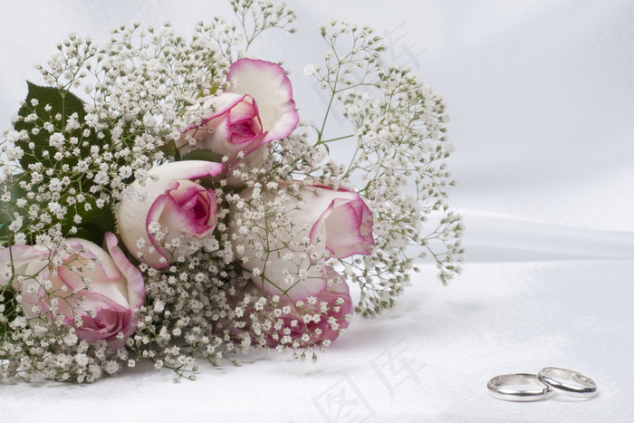 高清紫色玫瑰花图片下载