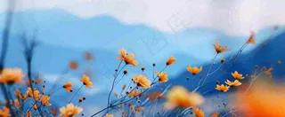 简约橙色小花鲜花，蓝色天空山脉虚幻意境摄影图