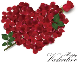 玫瑰花情人节爱心