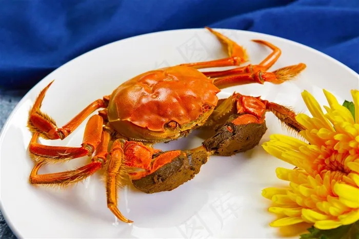 肥美大闸蟹美食