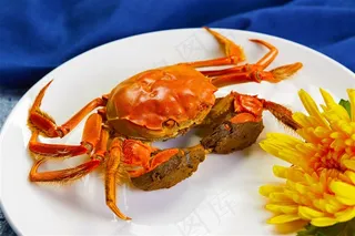 肥美大闸蟹美食