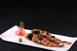 L02563阿婆黄鱼 (1)