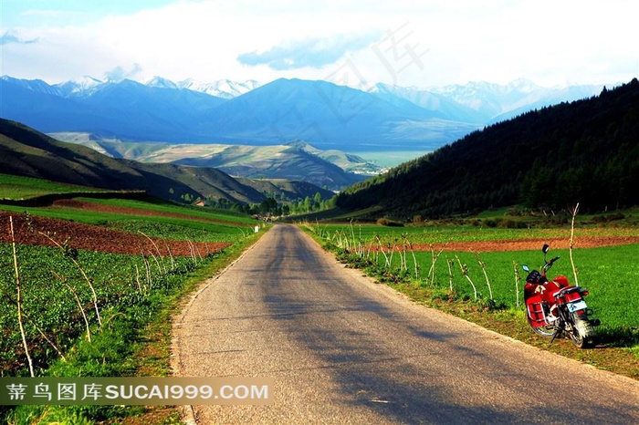 春天乡间小路图片