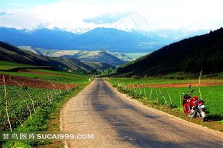 春天乡间小路图片