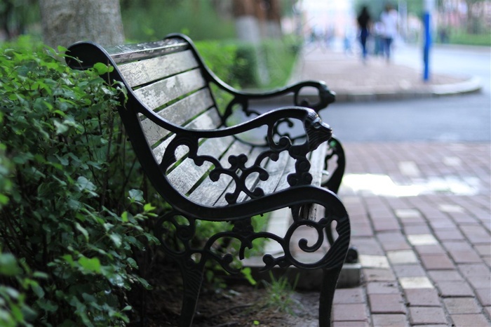 公园座椅特写