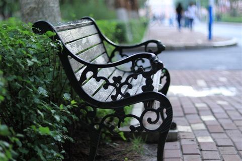 公园座椅特写