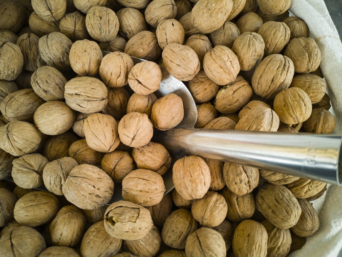 美味核桃坚果图片