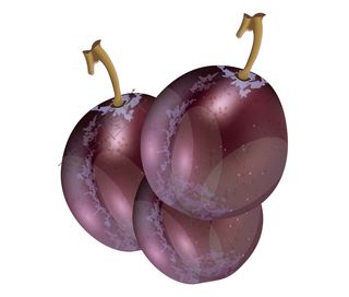 黑李，李子矢量图