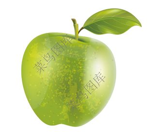 青苹果矢量图