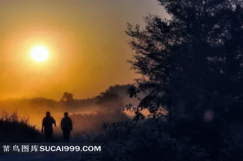 夕阳下的树木和老年夫妻