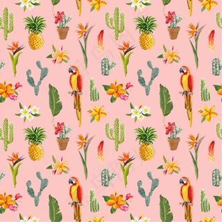 大嘴鸟 四方延续图案 面料图案