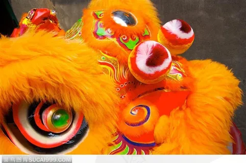 黄色的狮子头特写