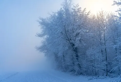 冬天白雪背景风景
