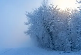 冬天白雪背景风景