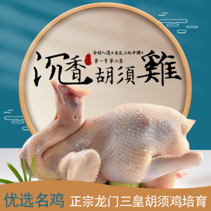 蓝色国潮风鸡汤主图