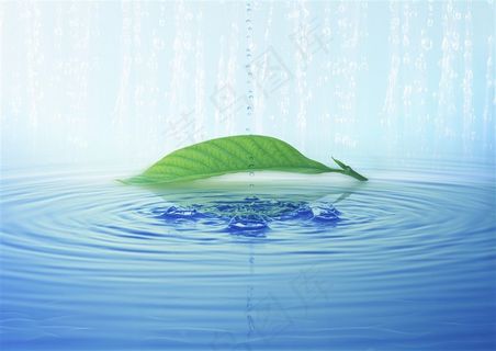 绿叶和水滴素材图片