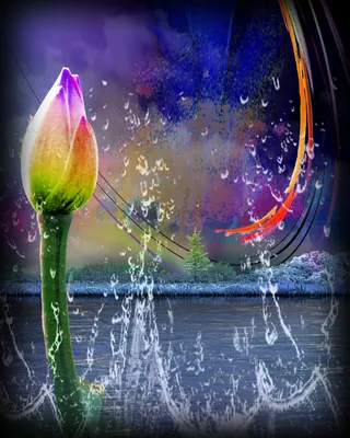 油画蓝海荷花蓝色背景