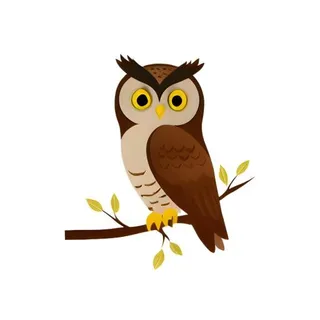 猫头鹰鸟免抠
