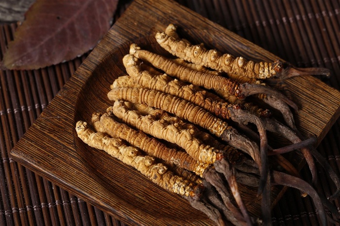 珍贵的野生冬虫夏草图片