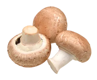 香菇超市商品白底图免抠实物摄影png格式图片透明底