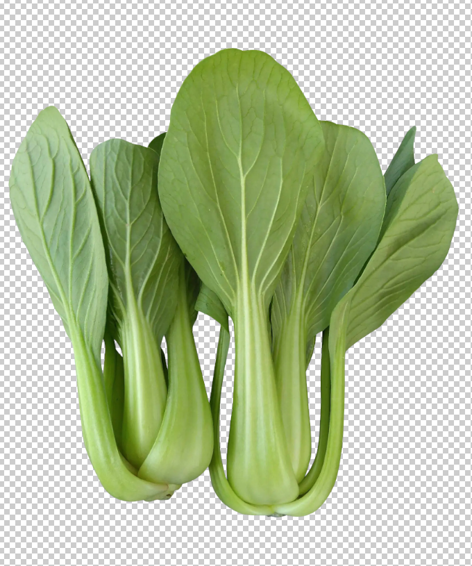 上海青免扣素材