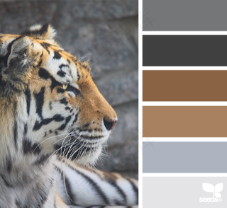 动物配色色卡色彩搭配