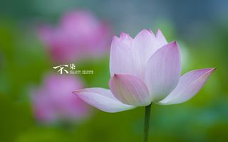 电脑壁纸、风景壁纸、特色风景、高清壁纸、桌面壁纸_39