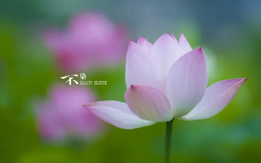 电脑壁纸、风景壁纸、特色风景、高清壁纸、桌面壁纸_39 电脑壁纸、风景壁纸、特色风景、高清壁纸、桌面壁纸_39