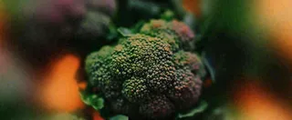 蔬菜西兰花西红柿番茄摄影摄影图