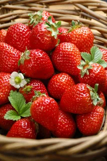 高清清新草莓图片下载 高清清新草莓图片下载