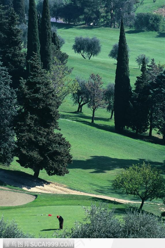 远观高尔夫球员