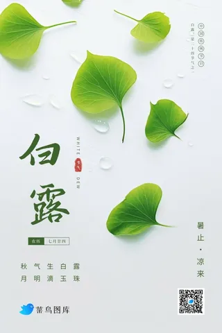 白露简约清新绿叶水滴节气海报