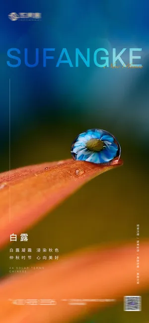 房地产 二十四 节气 系列 海报