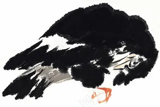 画鸟设计图片素材