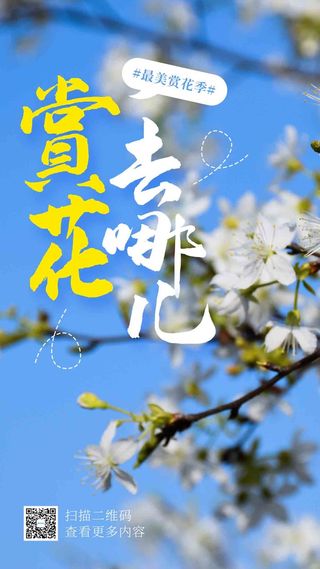 赏樱去哪儿摄影图海报