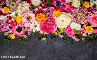 美丽的花朵植物边框