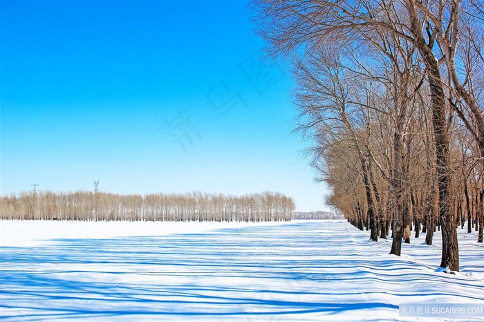 蓝天雪景图片