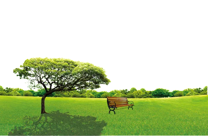 现代农业大树草坪
