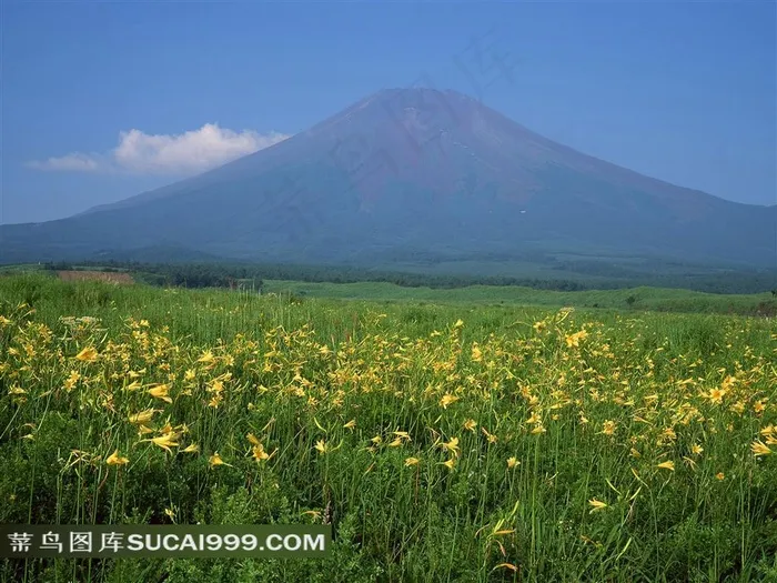 优美的日本富士山风景