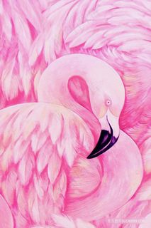 北欧火烈鸟插画