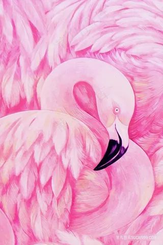 北欧火烈鸟插画