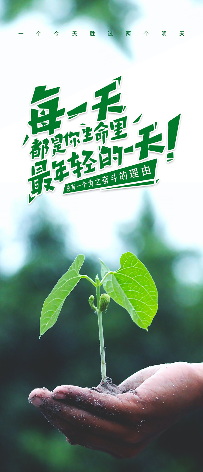 企业文化展架发芽图片psd模版下载