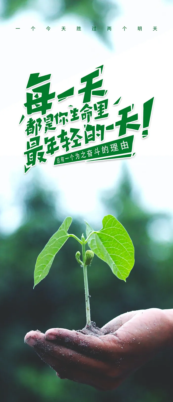 企业文化展架发芽图片psd模版下载