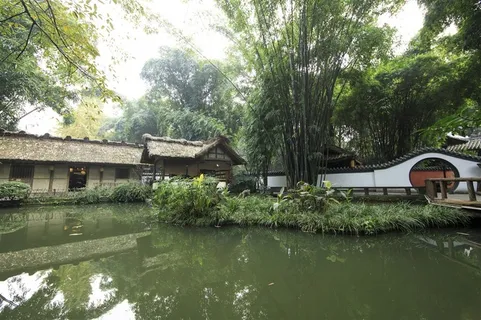 翠绿挺拔的竹子摄影图片 翠绿挺拔的竹子摄影图片