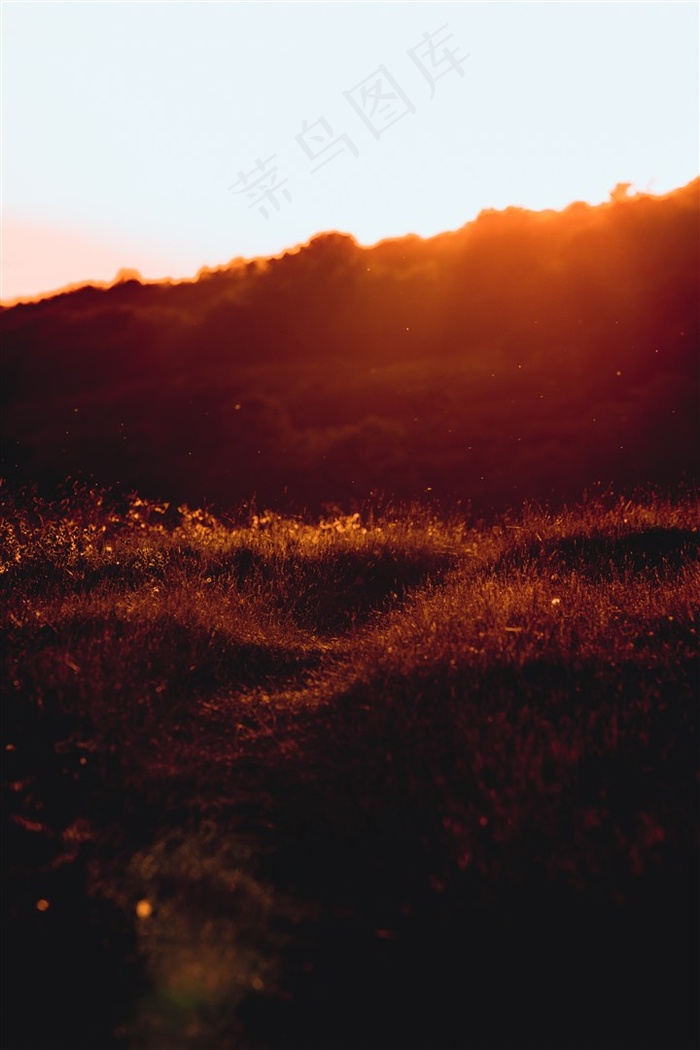 傍晚田园风光高清图片