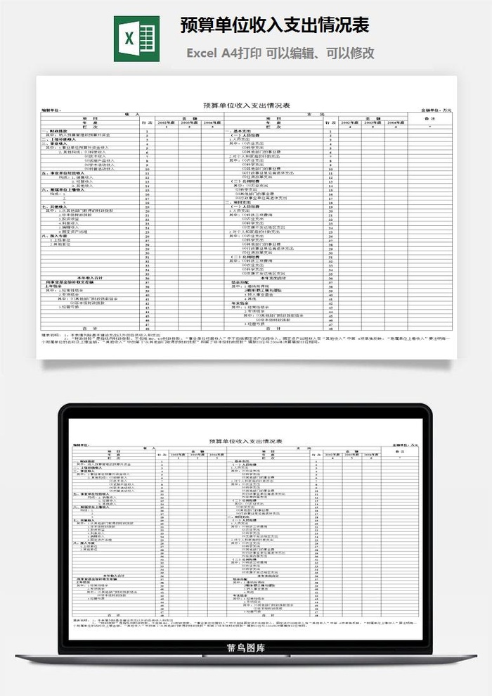 预算单位收入支出情况表excel模板