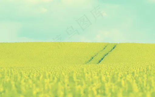 秋天的原野 秋天的原野